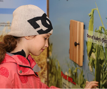 Yorkton Harvest Showdown